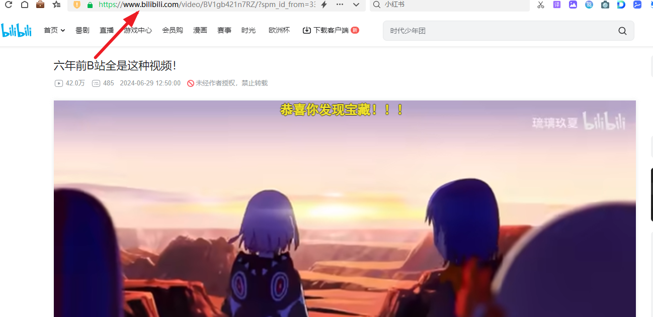 图片[1]-哔哩哔哩免费解析B站视频提取无后门工具-南尧派博客